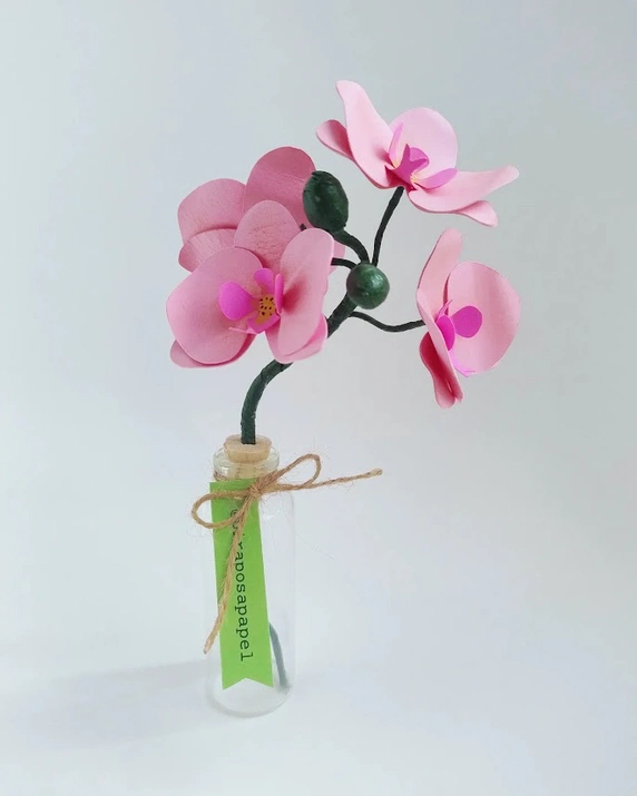 Orquídea rosa vista frontal en envase de vidrio